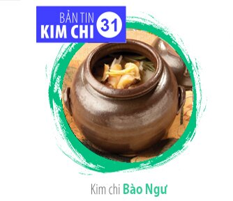 Bản tin kim chi số 31